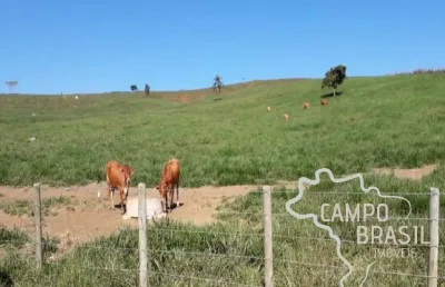 Oportunidade rural! fazenda de 106 alqueires a poucos minutos do centro de são josé!