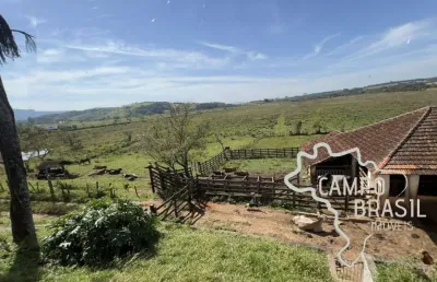 Chácara / sítio com 4 quartos à venda na Estrada Principal, Área Rural de Pouso Alegre, Pouso Alegre