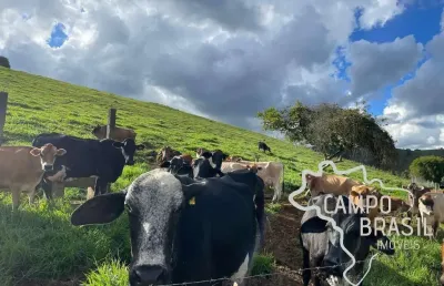 Fazenda 26 hectares formada com excelente estrutura no sul de minas gerais !