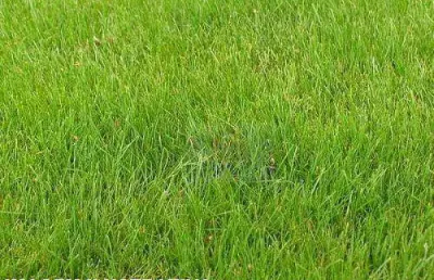 Terreno à venda, 600 m² por r$ 450.000,00 - granja viana - cotia/sp