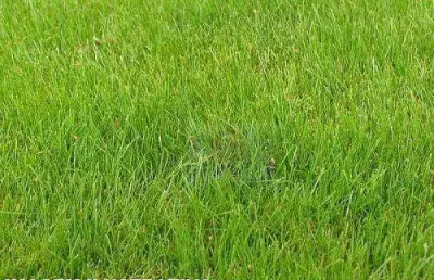 Terreno à venda, 1000 m² por r$ 600.000,00 - granja viana - cotia/sp