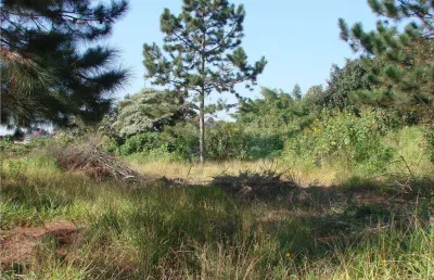 Terreno à venda, 2700 m² por r$ 950.000,00 - granja viana - carapicuíba/sp