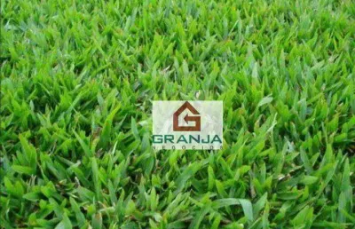 Terreno à venda, 500 m² por r$ 800.000,00 - granja viana - cotia/sp