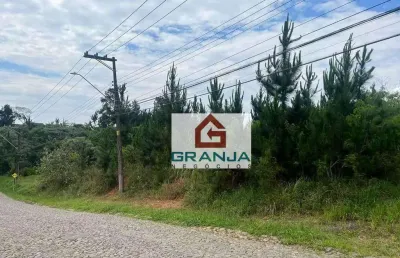Excelente área 4.973 m² p/incorporar (condomínio) à venda por r$ 3.500.000 - granja viana - paisagem renoir ii e iii - cotia/sp