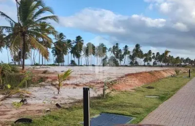 Oportunidade! terreno nascente no praia do castelo – 700m² | praia do forte, bahia | infraestrutura completa e valorização garantida!