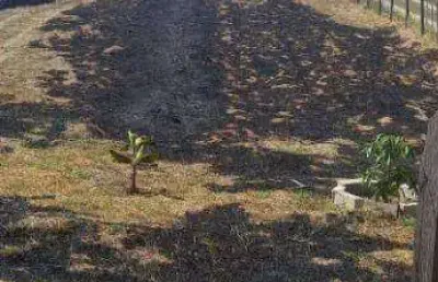 Chácara com 1 dormitório à venda, 1225 m² por r$ 150.000,00 - tataúba - caçapava/sp