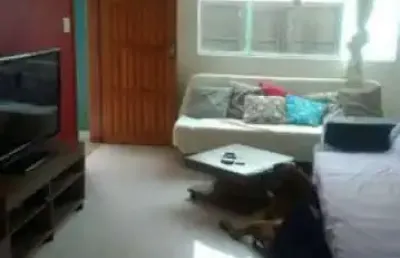 Casa com 2 quartos à venda na rua soldado genaro pedro lima, anil, rio de janeiro, 100 m2 por r$ 580.000
