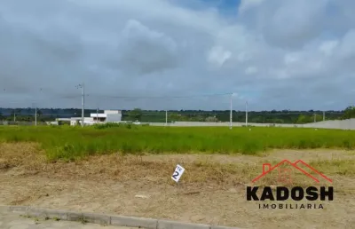 Oportunidade única: venda de lotes no bairro chaparral