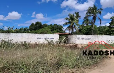 Terreno à venda em feira de santana-ba, bairro são joão, 143m² de área  localizado depois do azaleias ! aproveite essa oportunidade única!