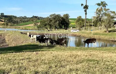 Fazenda à venda na Rua Pedro Chulis, Colônia Murici, São José dos Pinhais