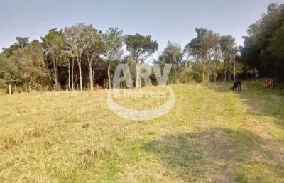 Chácara / sítio com 3 quartos à venda no Águas Claras, Viamão 
