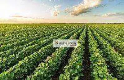Fazenda à vend r$ 410.000.000 - . - paranapanema/sp