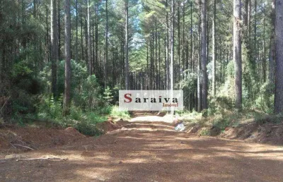 Fazenda à venda, 45770000 m² por r$ 750.000.000,00 - área rural de avaré - avaré/sp