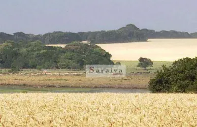 Fazenda à venda, 21620280 m² por r$ 450.000.000 - centro - paranapanema/sp
