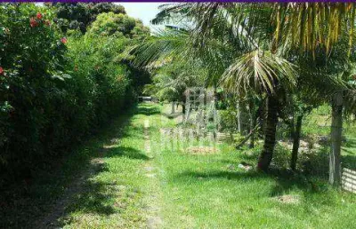 Chácara com 5 quartos à venda, 20000 m² por r$ 800.000 - manoel ribeiro (ponta negra) - maricá/rj