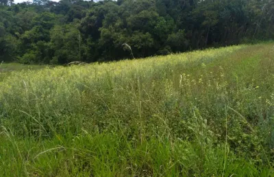 Terreno à venda na Estrada Municipal da Cachoeira, 6543, Cachoeira, Cotia