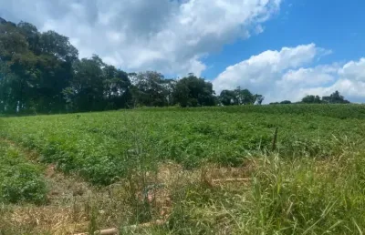 Terreno à venda na Estrada Municipal da Cachoeira, 9, Cachoeira, Cotia