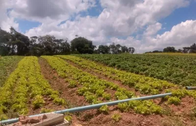 Terreno à venda na Estrada Municipal da Cachoeira, 9, Cachoeira, Cotia