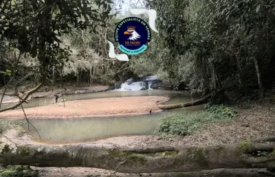 Não percam o lançamento de cotia, viva o melhor de cotia