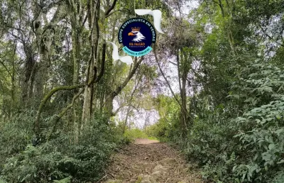 Lançamento de cotia não percam, viva o melhor de cotia