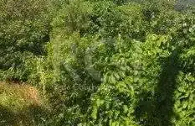 Terreno para venda - 0m², 0 dormitórios, aberta dos morros/ altos do santa rita, porto alegre