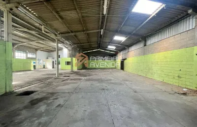 Área de 8.800m² com galpão 650m² no torrão de ouro - estuda permuta