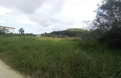 Terreno comercial para alugar na Rua das Cerejeiras, s/nº, Pedra Branca, Palhoça