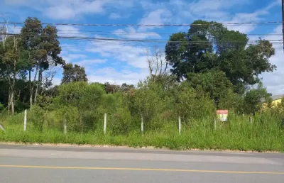 Terreno comercial à venda na Rua Hermenegildo Pauletto, Arujá, São José dos Pinhais