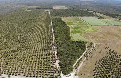 Fazenda 800 hectares perfeitas para enegia solar e eóloicas.