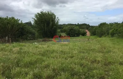 Chácara / sítio à venda na Estrada do Barro Vermelho, 5600, Morada Gaúcha, Gravataí