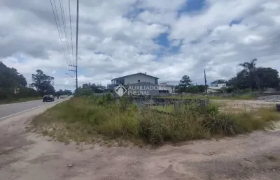 Terreno à venda na rodovia evádio paulo broering, 2367, pinheira, palhoça, 424 m2 por r$ 420.000