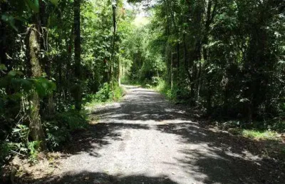 Venda - chácara - parque são jerônimo - americana - sp