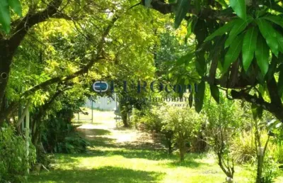 Chácara / sítio com 1 quarto à venda no Centro, Limeira 