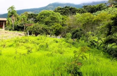Chácara / sítio à venda na Praça Bras Reale, KM 1,2, Paiol Grande, São Bento do Sapucaí