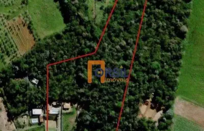 Terreno à venda, 500 m² por r$ 40.000,00 - biritiba ussu - mogi das cruzes/sp