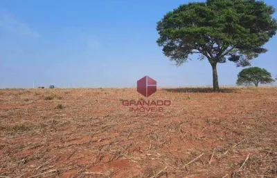 Terreno à venda, 20000 m² por r$ 900.000,00 - distrito de iguatemi (iguatemi) - maringá/pr