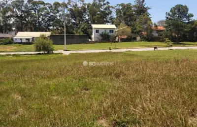 Terreno à venda no são joão do rio vermelho, florianópolis  por r$ 420.000