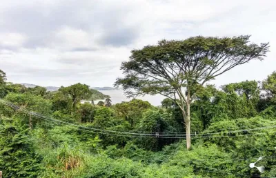 Terreno à venda na Rua Professor Xavier Simões, 500, Sétimo Céu, Porto Alegre