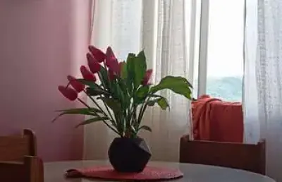 Apartamento 2 dormitórios à venda restinga porto alegre/rs