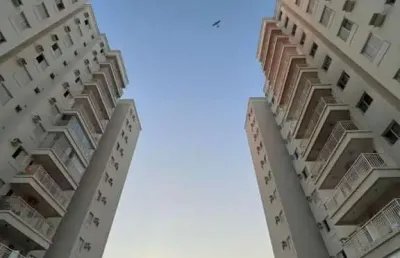 Apartamento para venda em são josé do rio preto, jardim francisco fernandes, 3 dormitórios, 1 suíte, 2 banheiros, 2 vagas