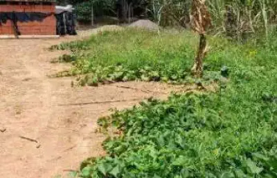 Terreno para aluguel chácaras são bento em valinhos