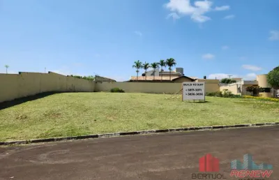 Terreno comercial para alugar na Rua Orozimbo Maia, Jardim Pinheiros, Valinhos