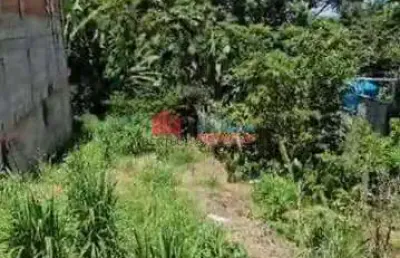 Terreno com 300m² à venda no alto da colina - valinhos