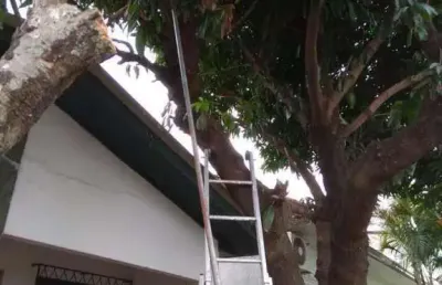 Casa com 3 quartos à venda no Cristo Rei, São Leopoldo 