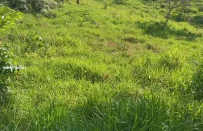 Fazenda à venda na Avenida Goiás, Centro, São Félix do Xingu
