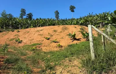 Chácara / sítio à venda na Rua Bernardo Aguiar, Rio Novo, Barra Velha