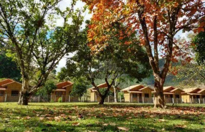 Sítio à venda, 154925 m² por r$ 5.500.000,00 - campo novo - tijucas/sc