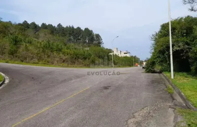 Terreno em condomínio fechado à venda na Rua Francelina Domingos de Jesus, Roçado, São José