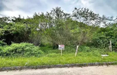 Terreno à venda, 360 m² por r$ 290.000,00 - morro da bina - biguaçu/sc