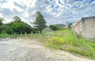 Terreno comercial à venda na Rua Leo Pauli, Areias, São José